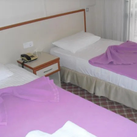 Hotel Kerman 4*