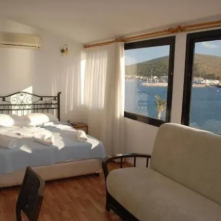 酒店 克尔曼酒店 3*