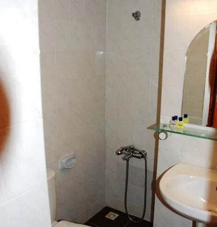 Kerman Hotel 4*
