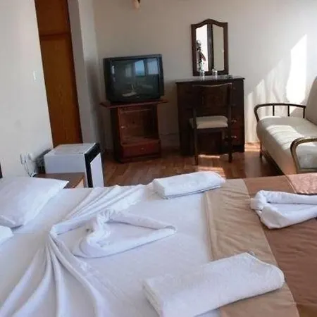 Kerman Hotel 3*