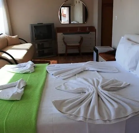 Kerman Hotel 3*